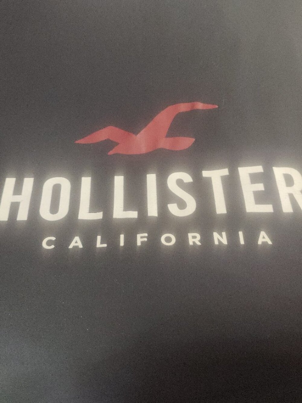 Y2K Hollister Throw Blanket
